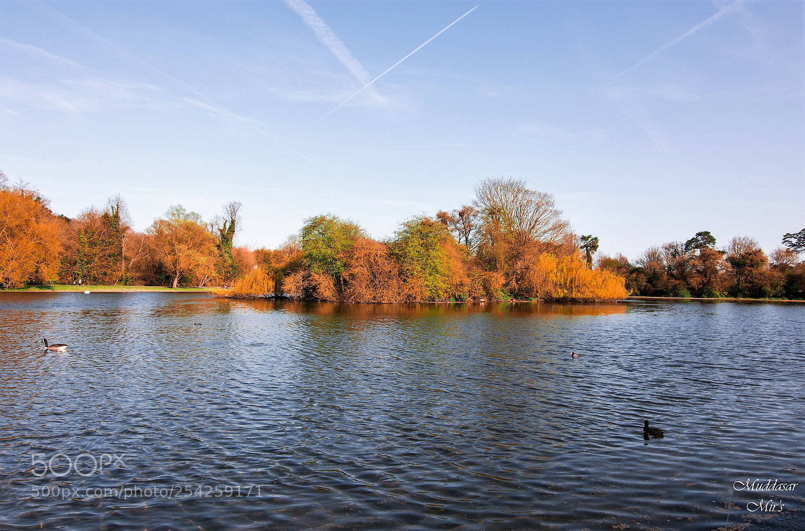 Nikon D7200 sample photo. Untitled photography