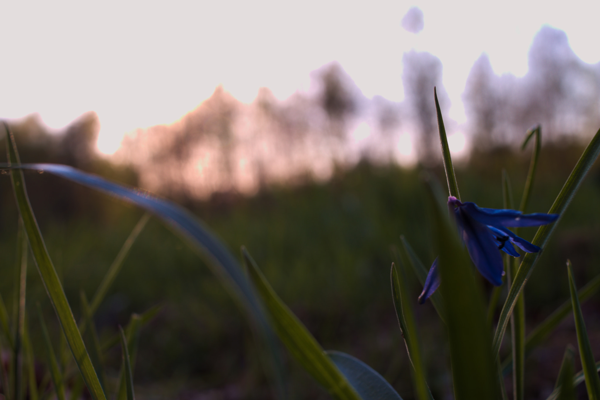 Canon EF-S 24mm F2.8 STM sample photo