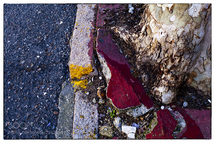 Canon EOS 5D Mark II sample photo. . photography