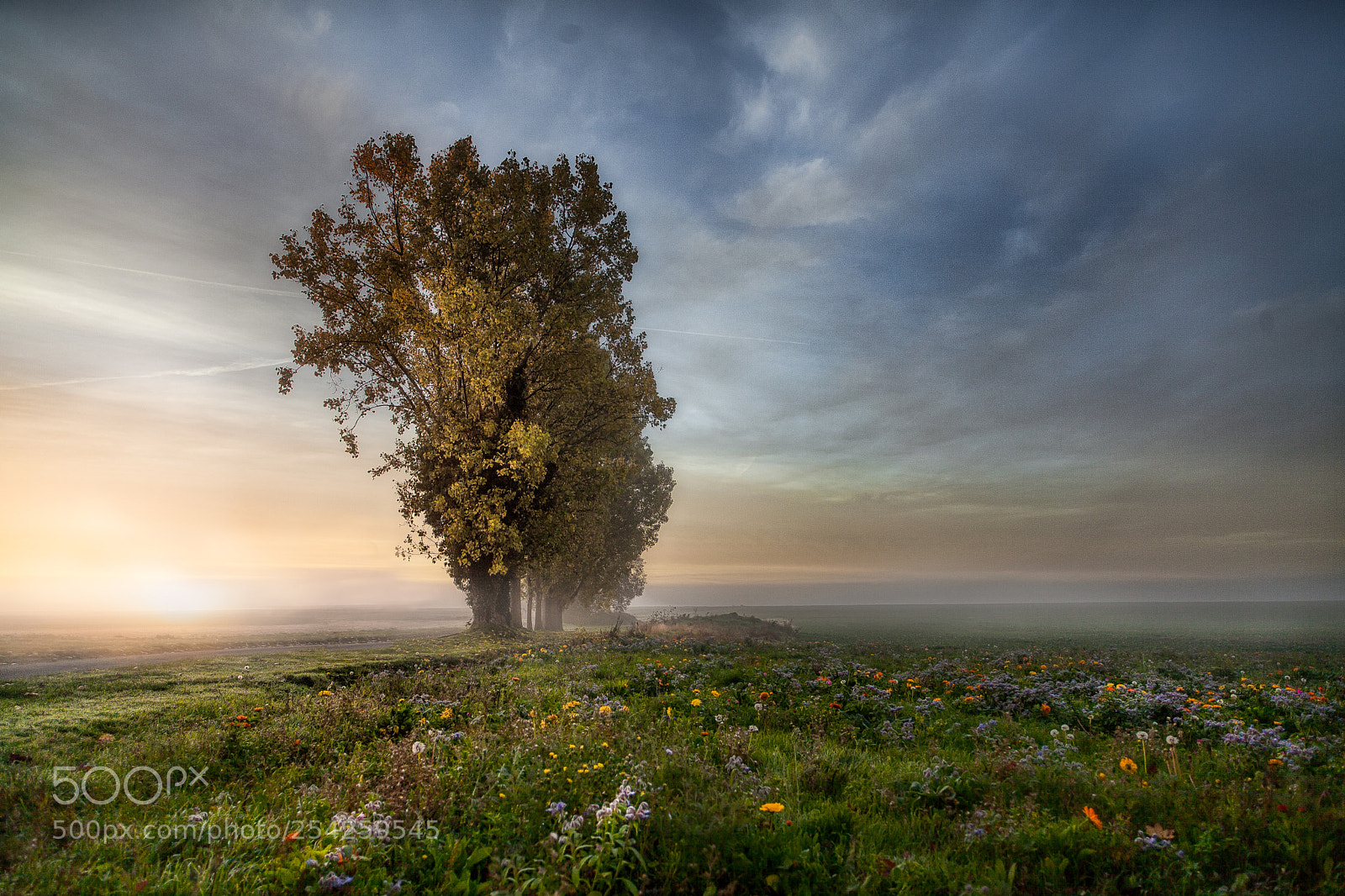 Canon EOS 5D Mark II sample photo. Morning photography