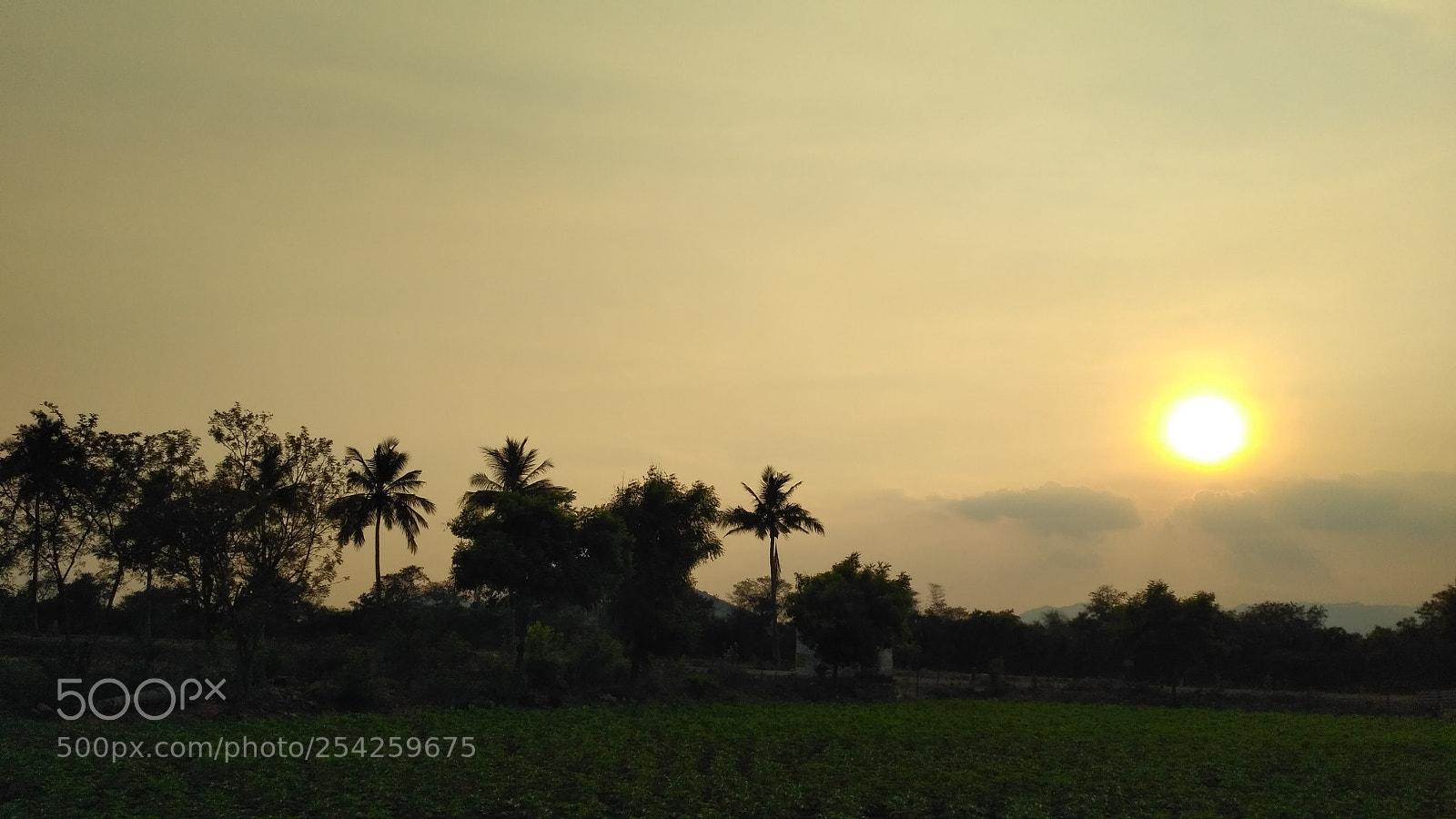 Xiaomi Redmi 3S sample photo. Img_20180414_174127.jpg photography