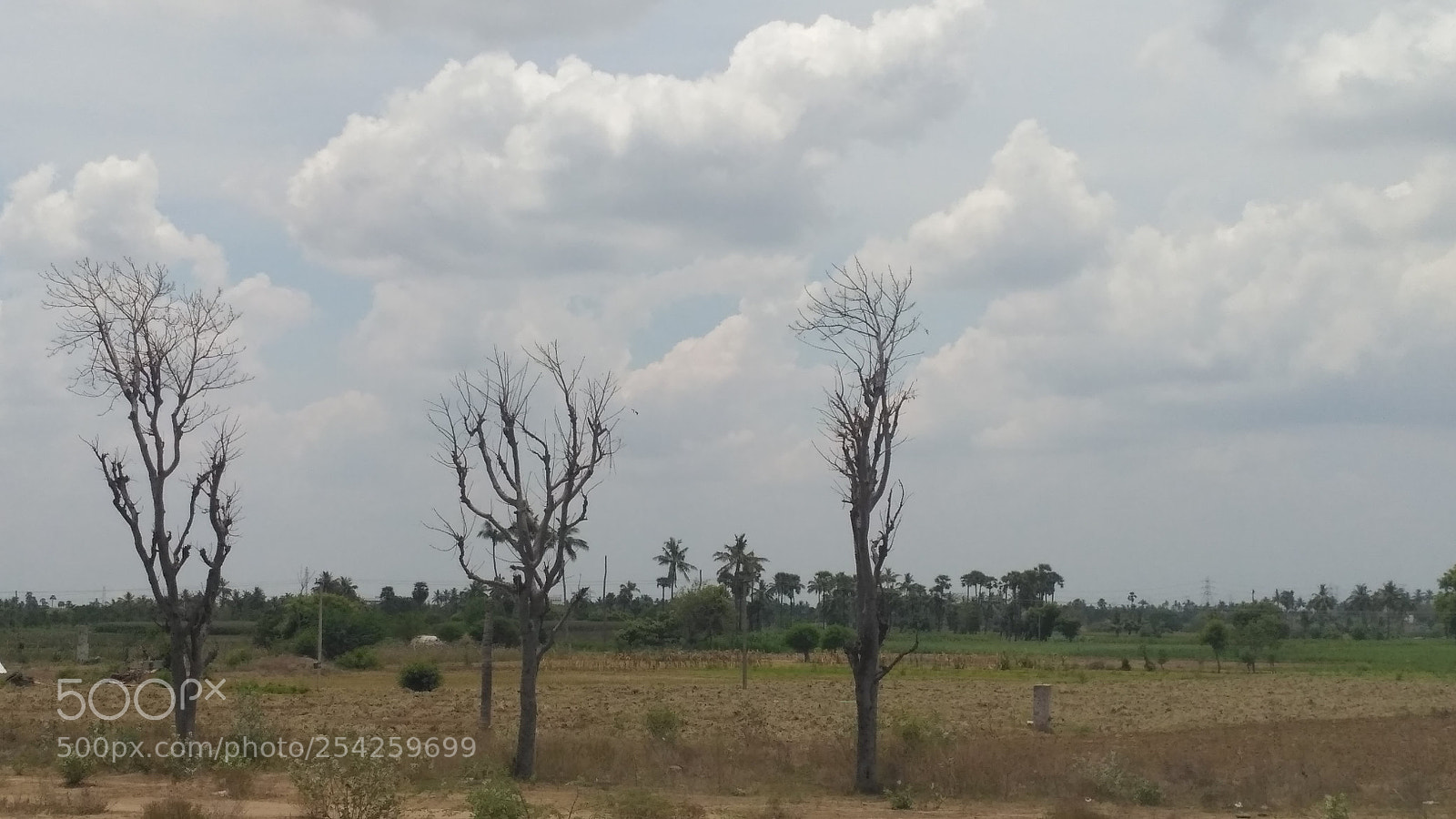 Xiaomi Redmi 3S sample photo. Img_20180417_115122.jpg photography