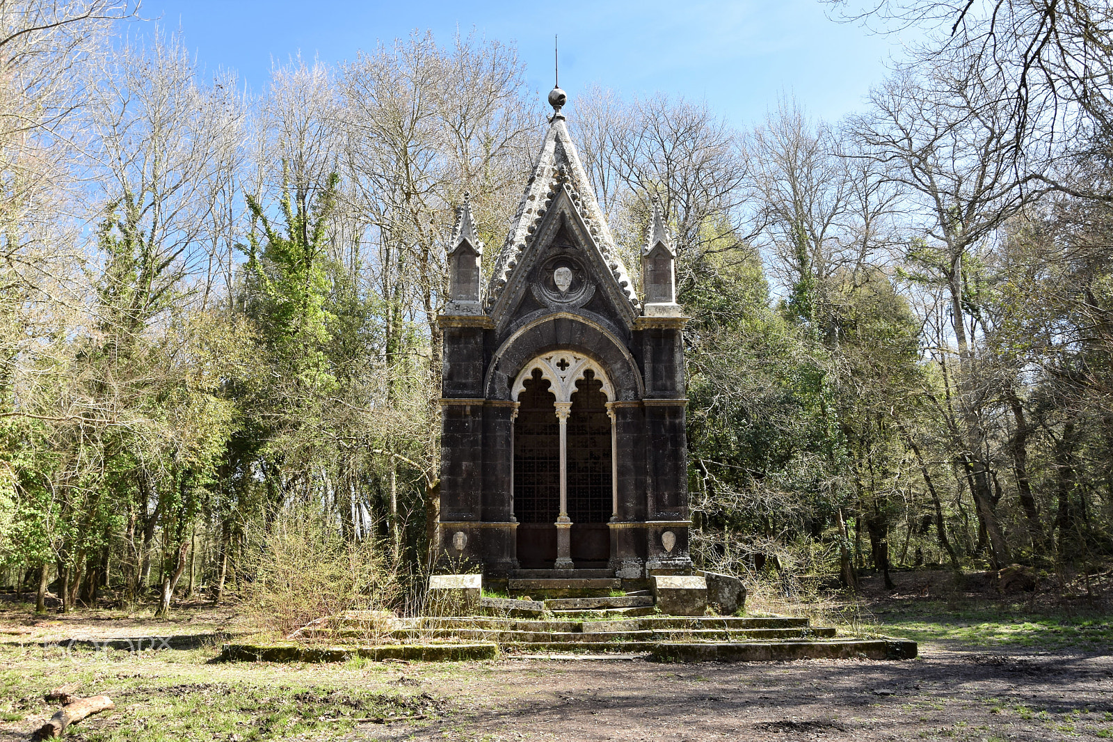 Nikon D5500 sample photo. Villages and woods photography