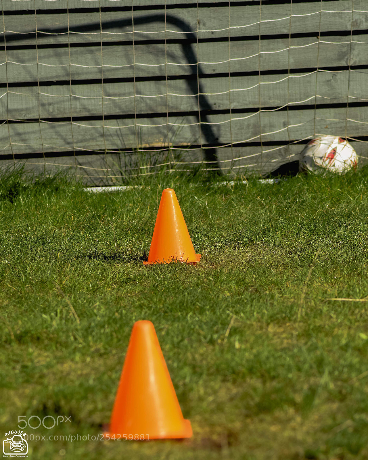Nikon D3300 sample photo. O is for ... orange photography