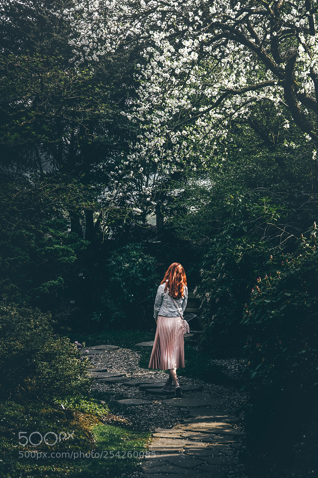 Nikon D7100 sample photo. Girl in the woods photography