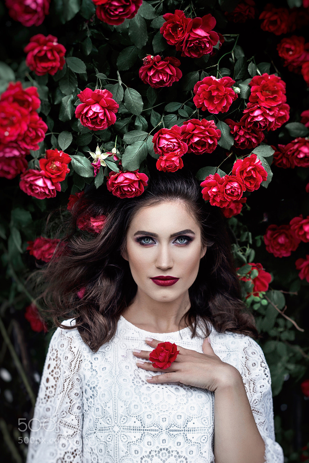 Canon EOS 5D Mark II sample photo. Scarlet photography