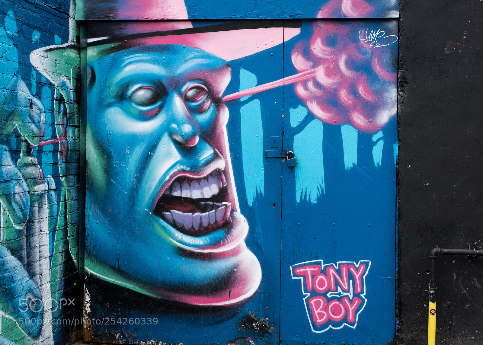 Nikon D810 sample photo. Camden street art 1 photography