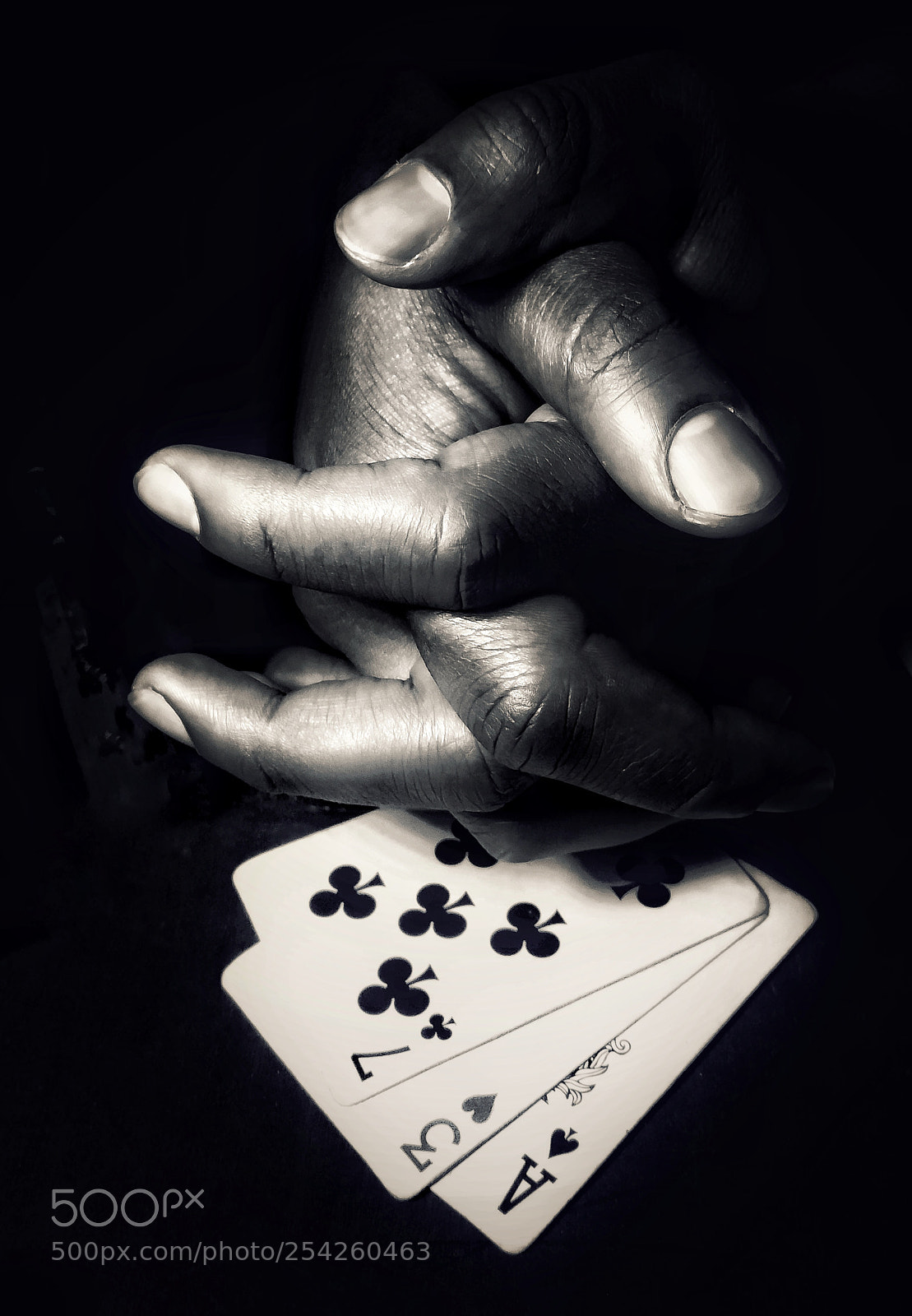 Samsung Galaxy S5 sample photo. |molly'sgame| photography