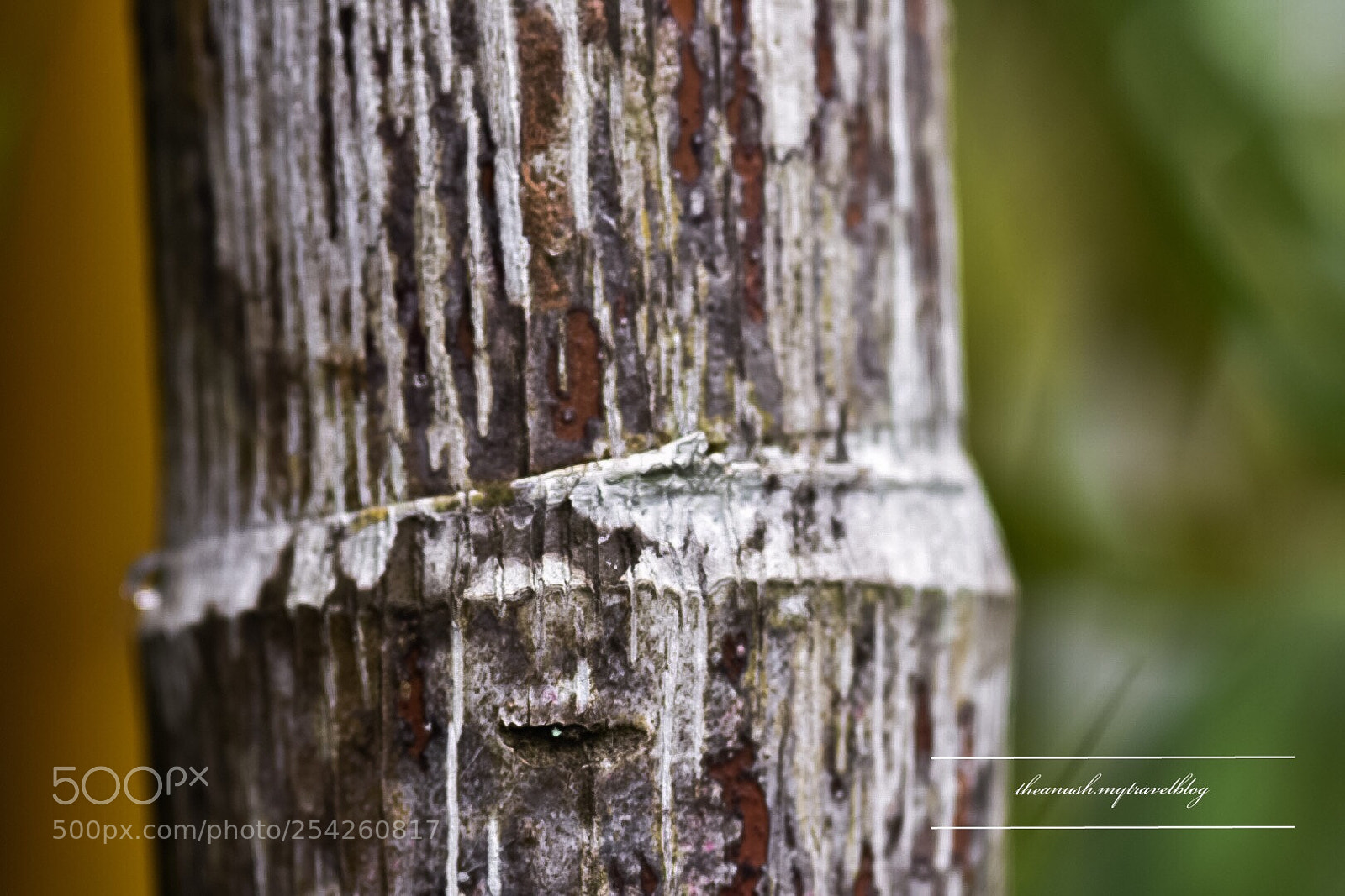 Nikon D7200 sample photo. Lines and shapes photography