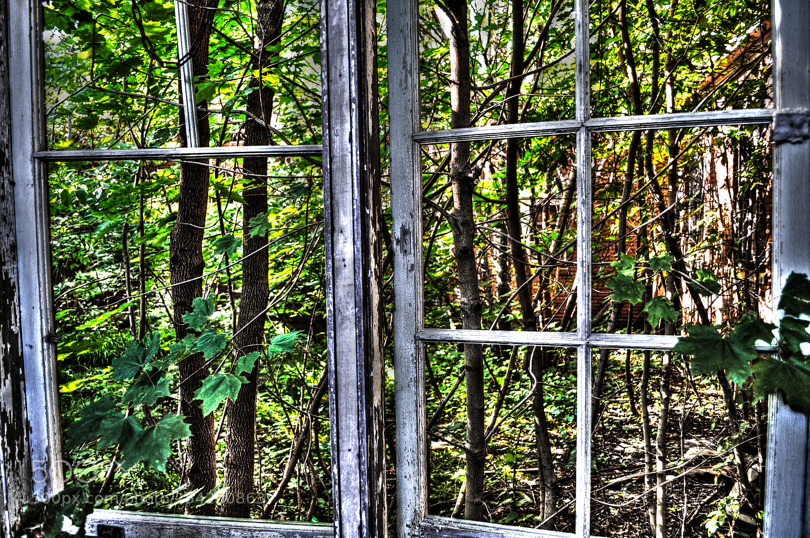 Nikon D5000 sample photo. Hospital window photography