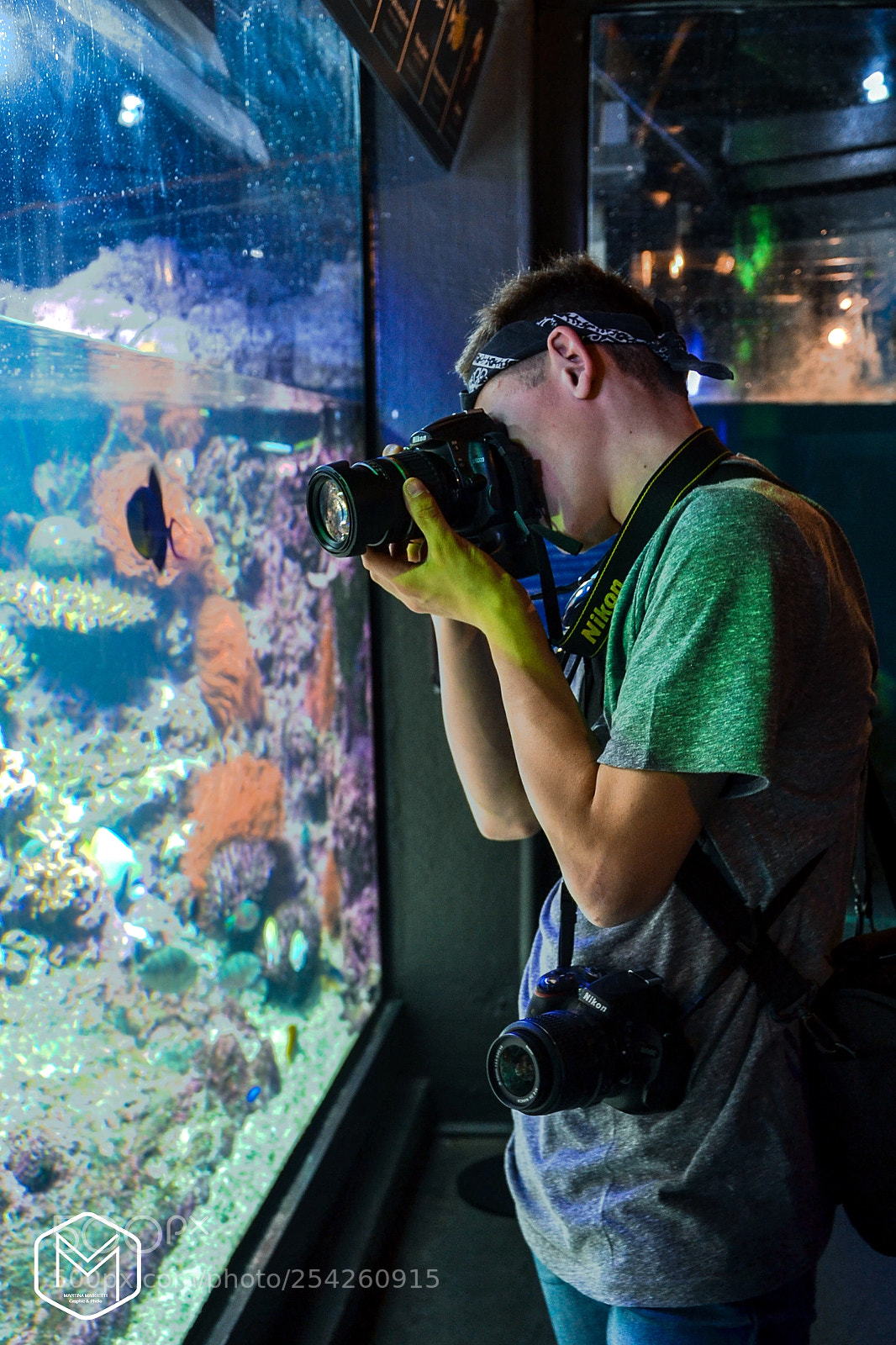 Nikon D3100 sample photo. David - aquarium photography