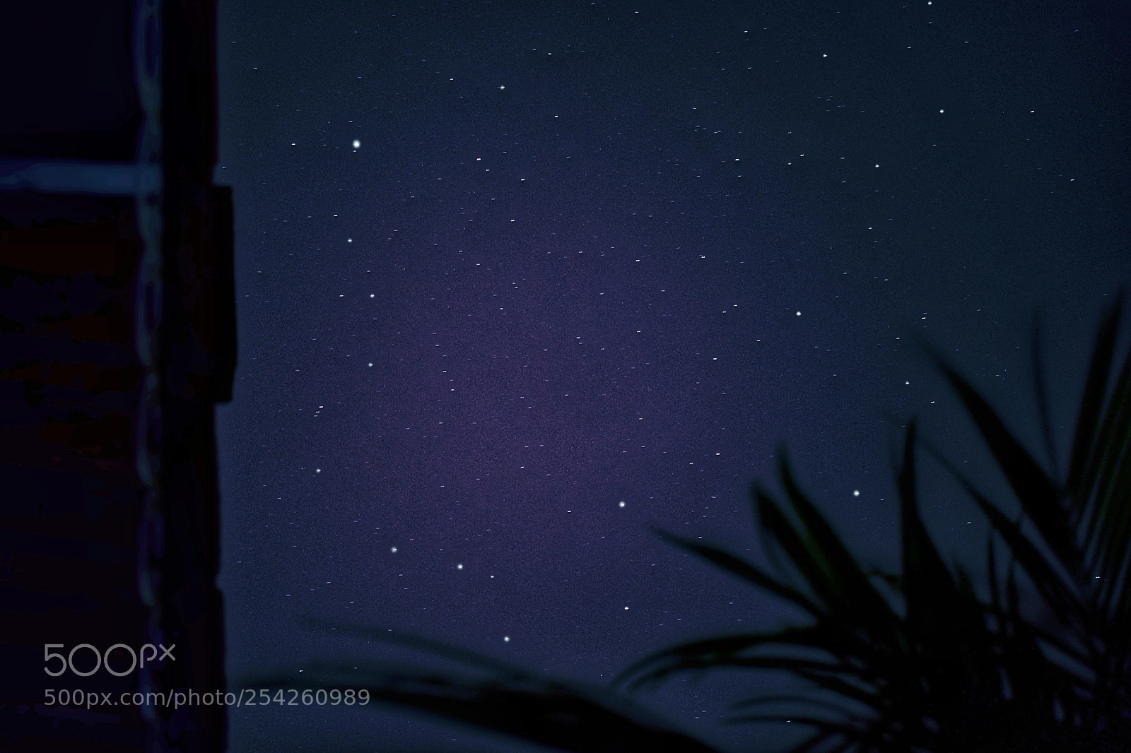 Nikon D5300 sample photo. While the lights went photography