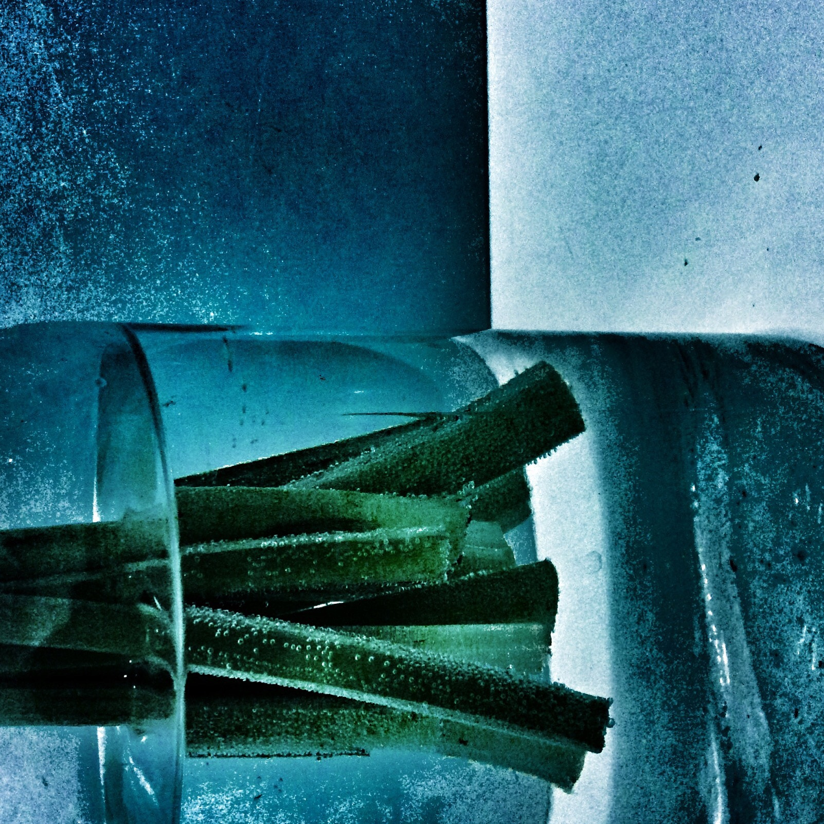 Apple iPad Air sample photo. In the water photography