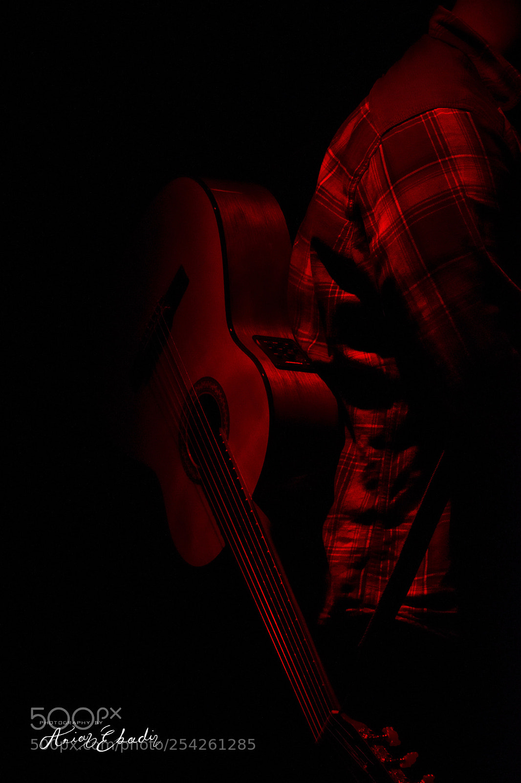 Nikon D5300 sample photo. Go big photography