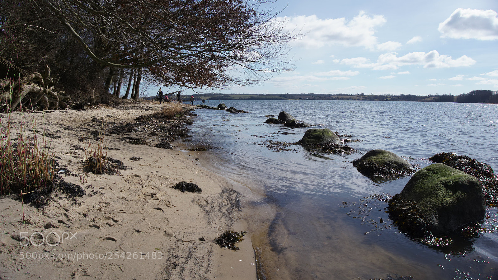Sony a6000 sample photo. Kolding fjord beach photography