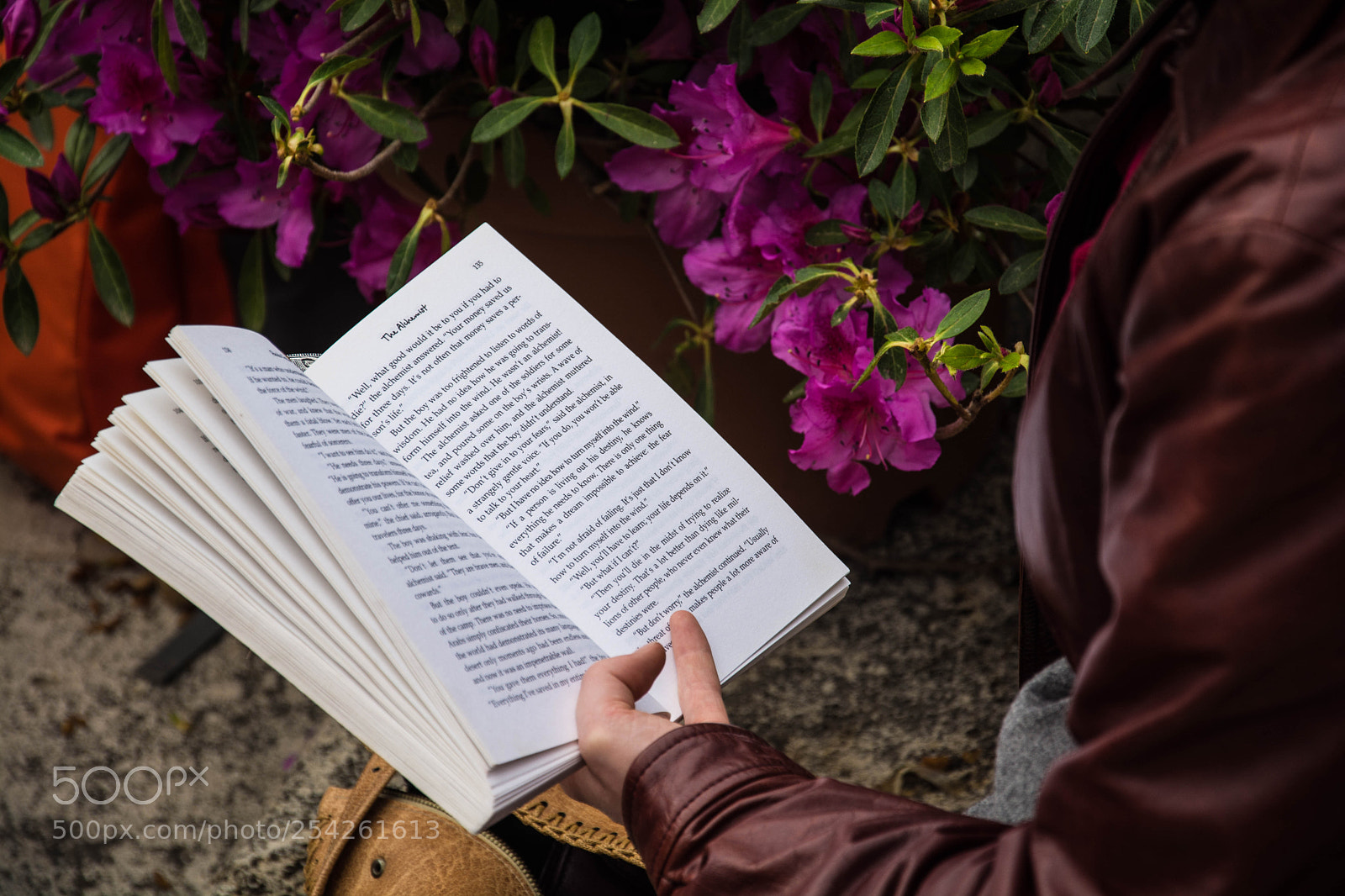 Nikon D7100 sample photo. Book photography