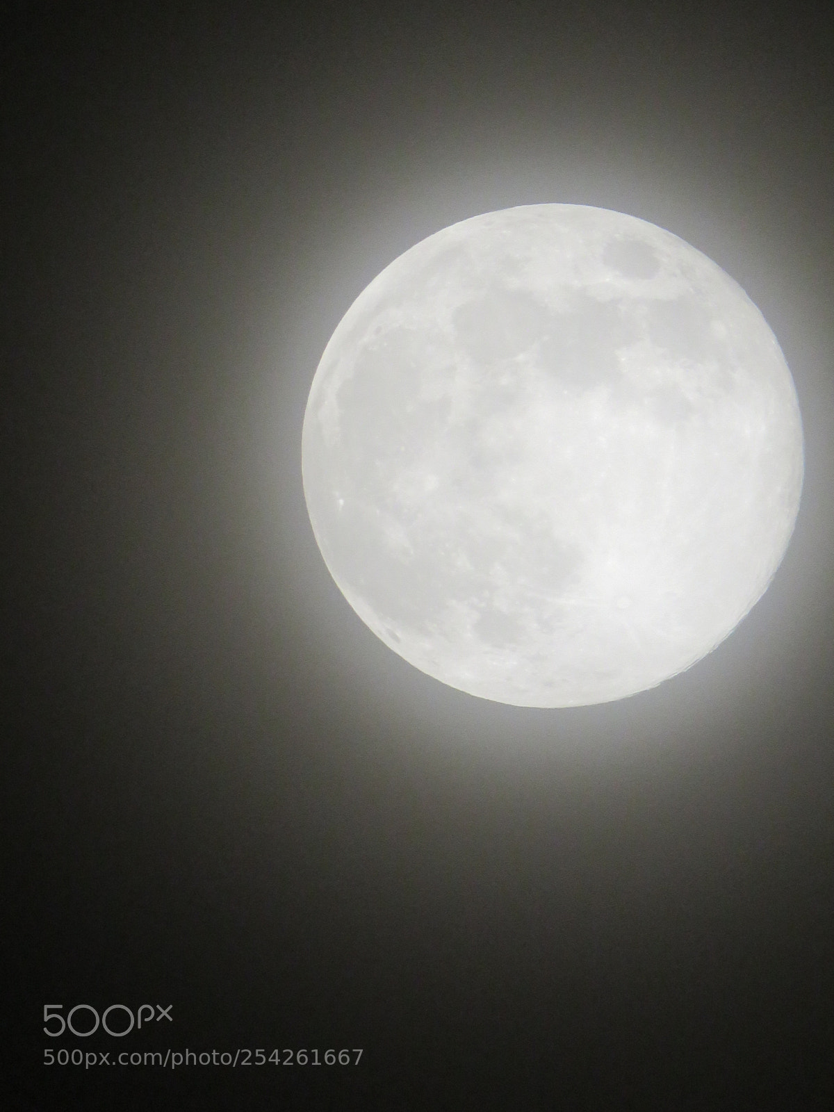 Canon PowerShot SX60 HS sample photo. A very bright full photography