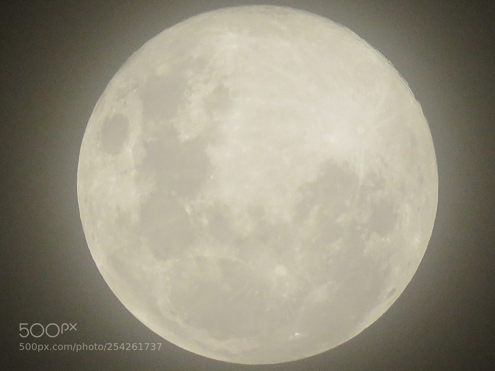 Canon PowerShot SX60 HS sample photo. A close up of photography