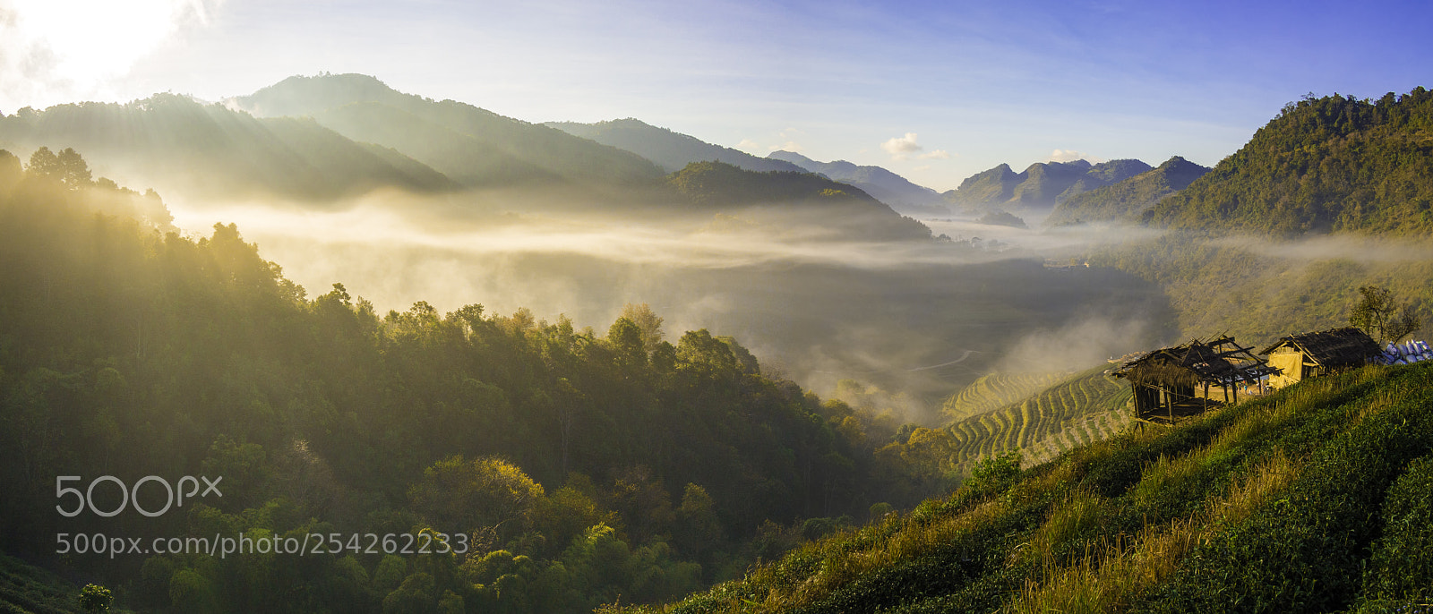 Olympus OM-D E-M5 sample photo. Doi ang khang photography