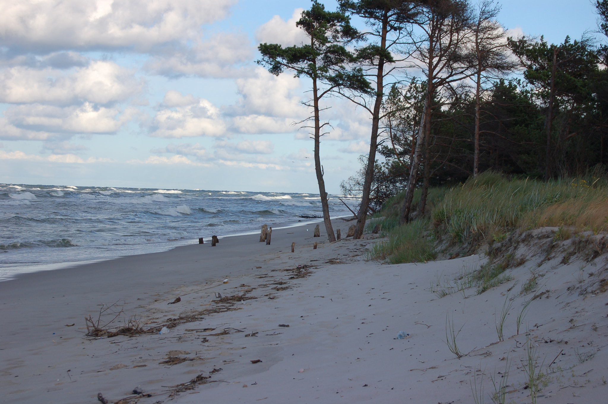Nikon D50 sample photo. Baltic coast photography