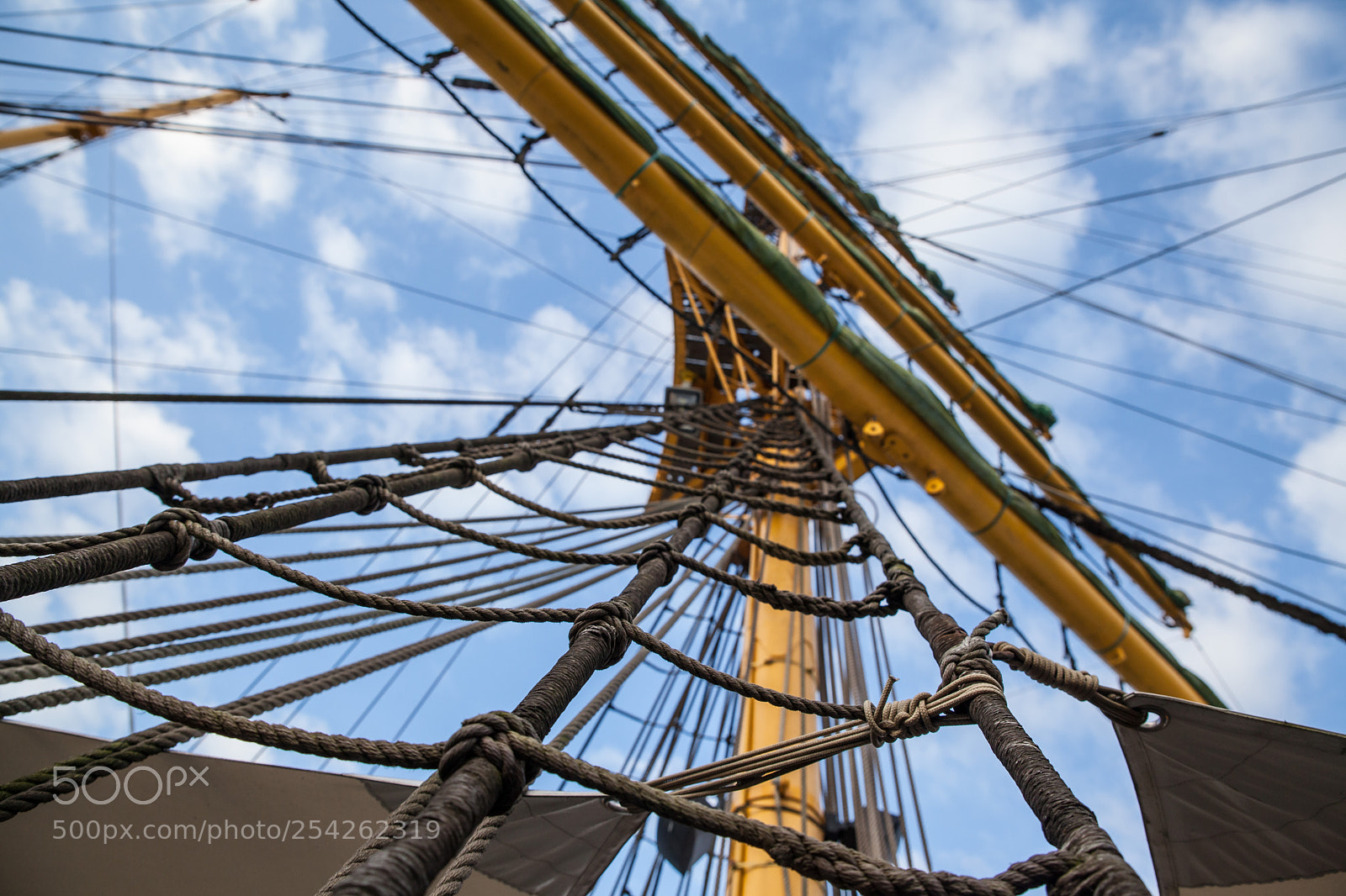 Canon EOS 5D Mark II sample photo. Ratlines photography