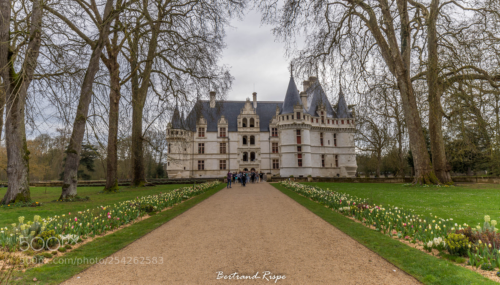 Nikon D7200 sample photo. Allée de tulipes photography