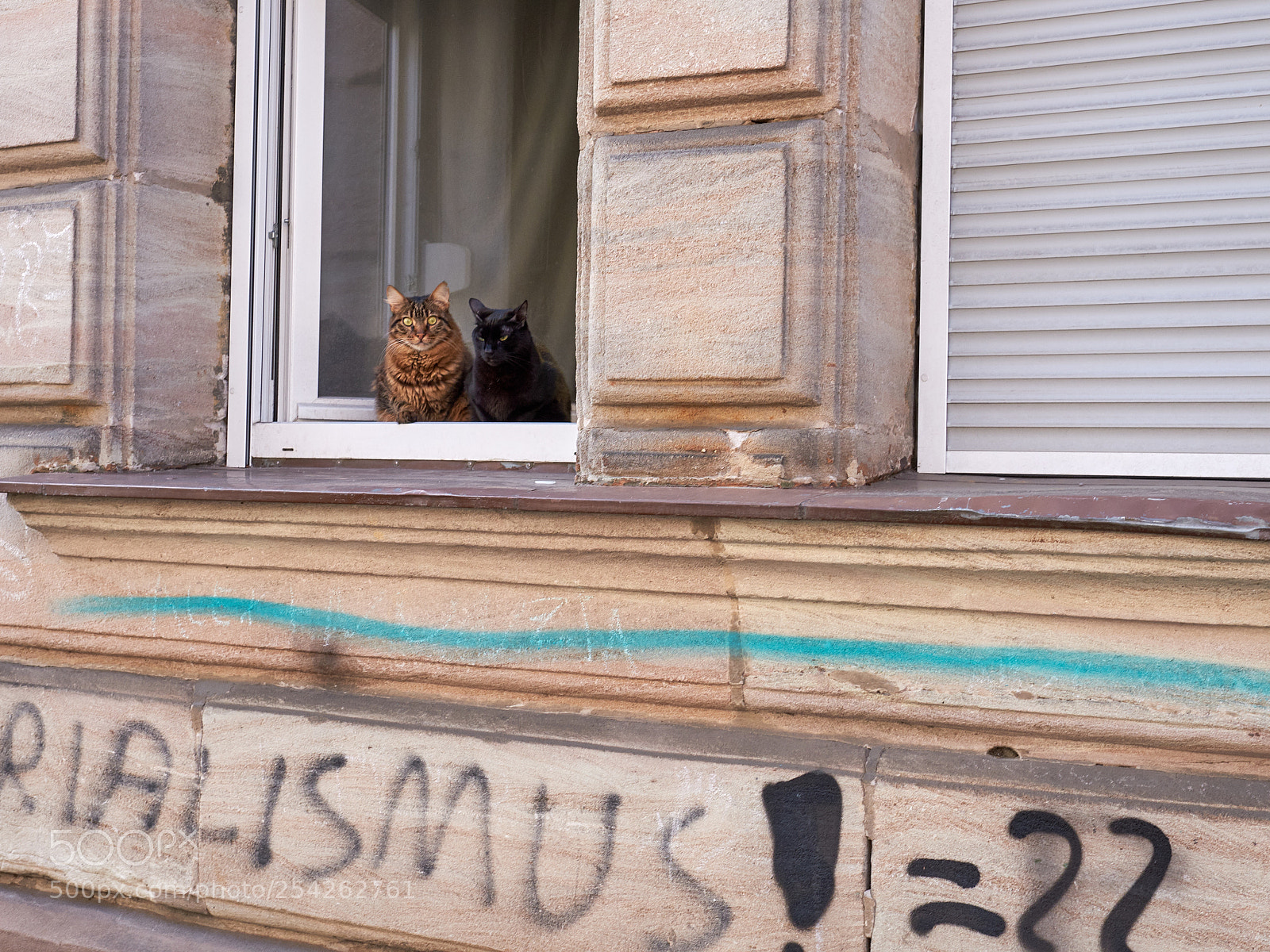 Fujifilm X-Pro2 sample photo. Watching the world go photography
