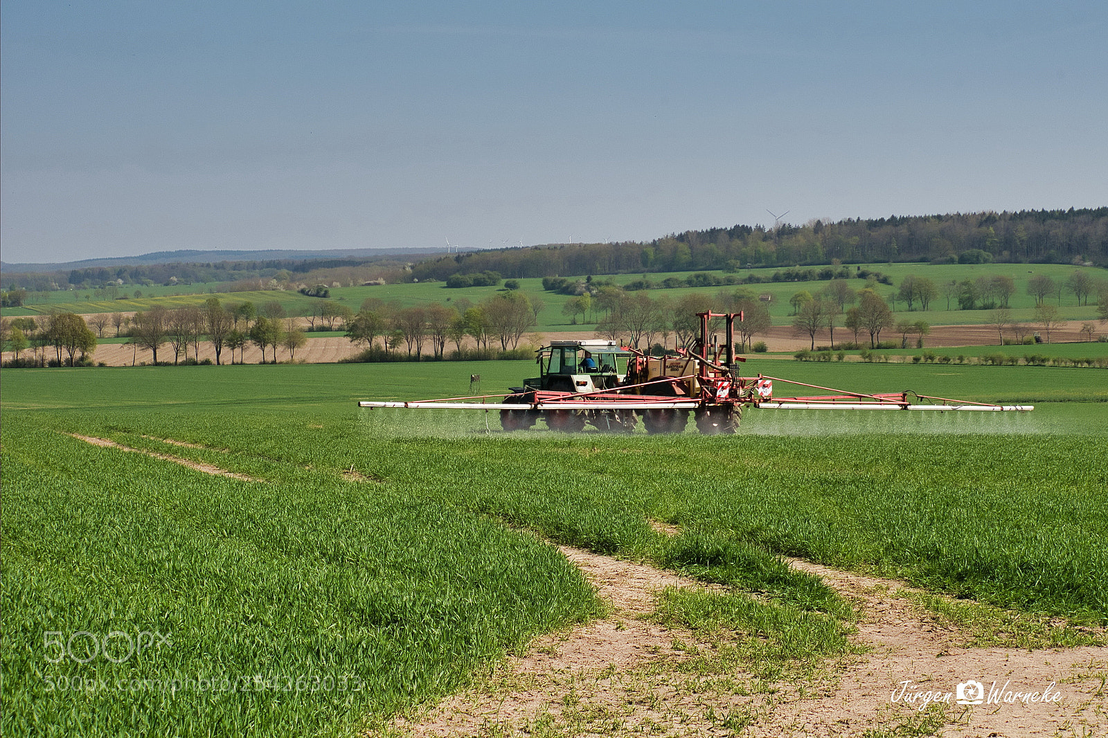Panasonic Lumix DMC-GX7 sample photo. Bye, bye biene photography