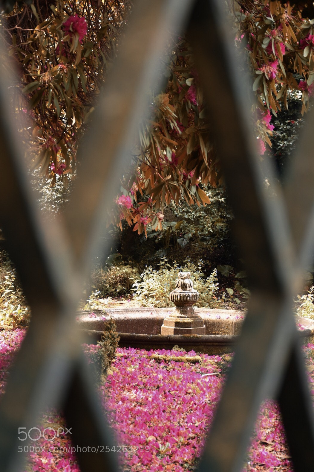 Nikon D5500 sample photo. Untitled photography