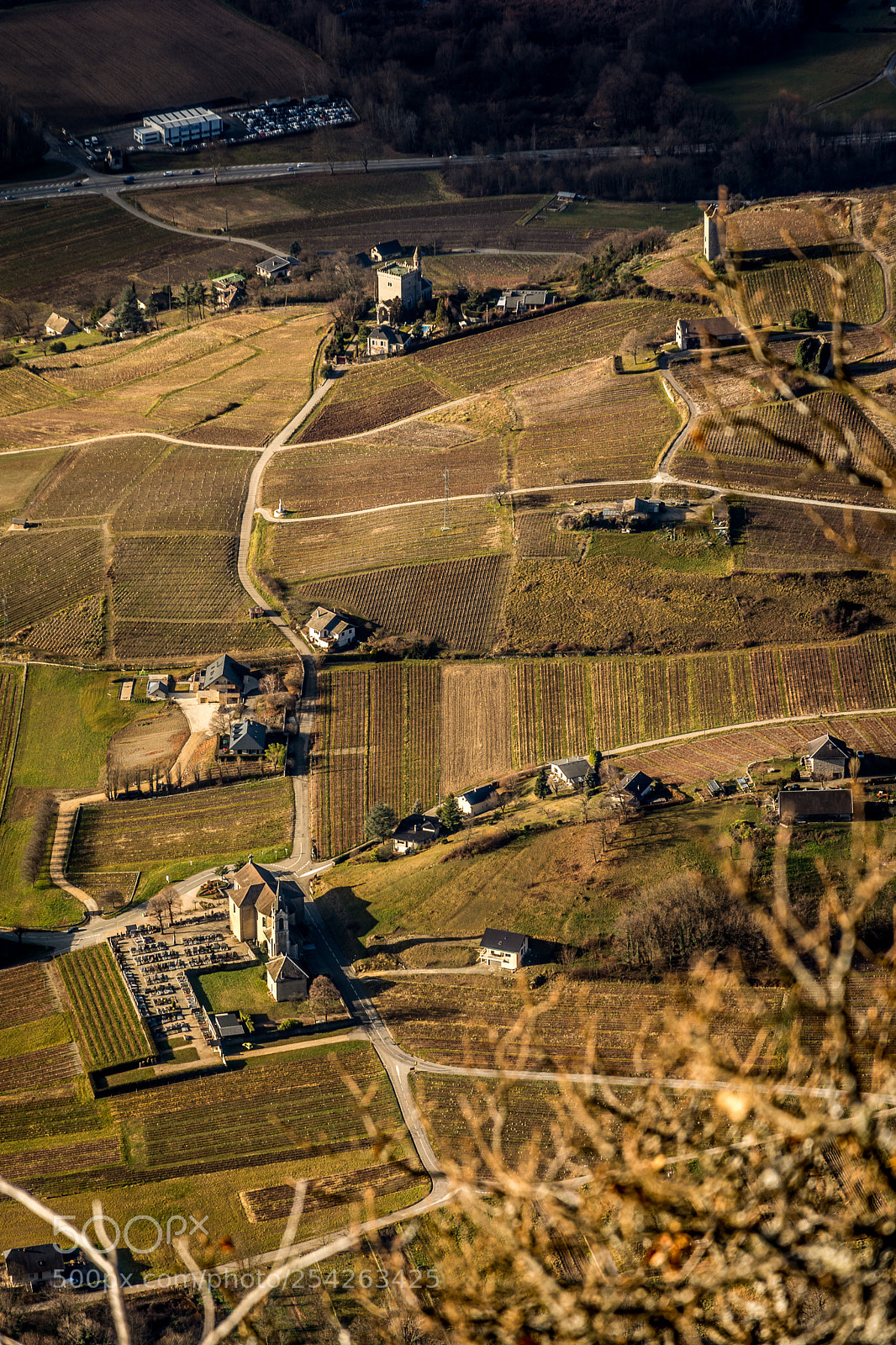 Nikon D7100 sample photo. Alpine vineyards photography