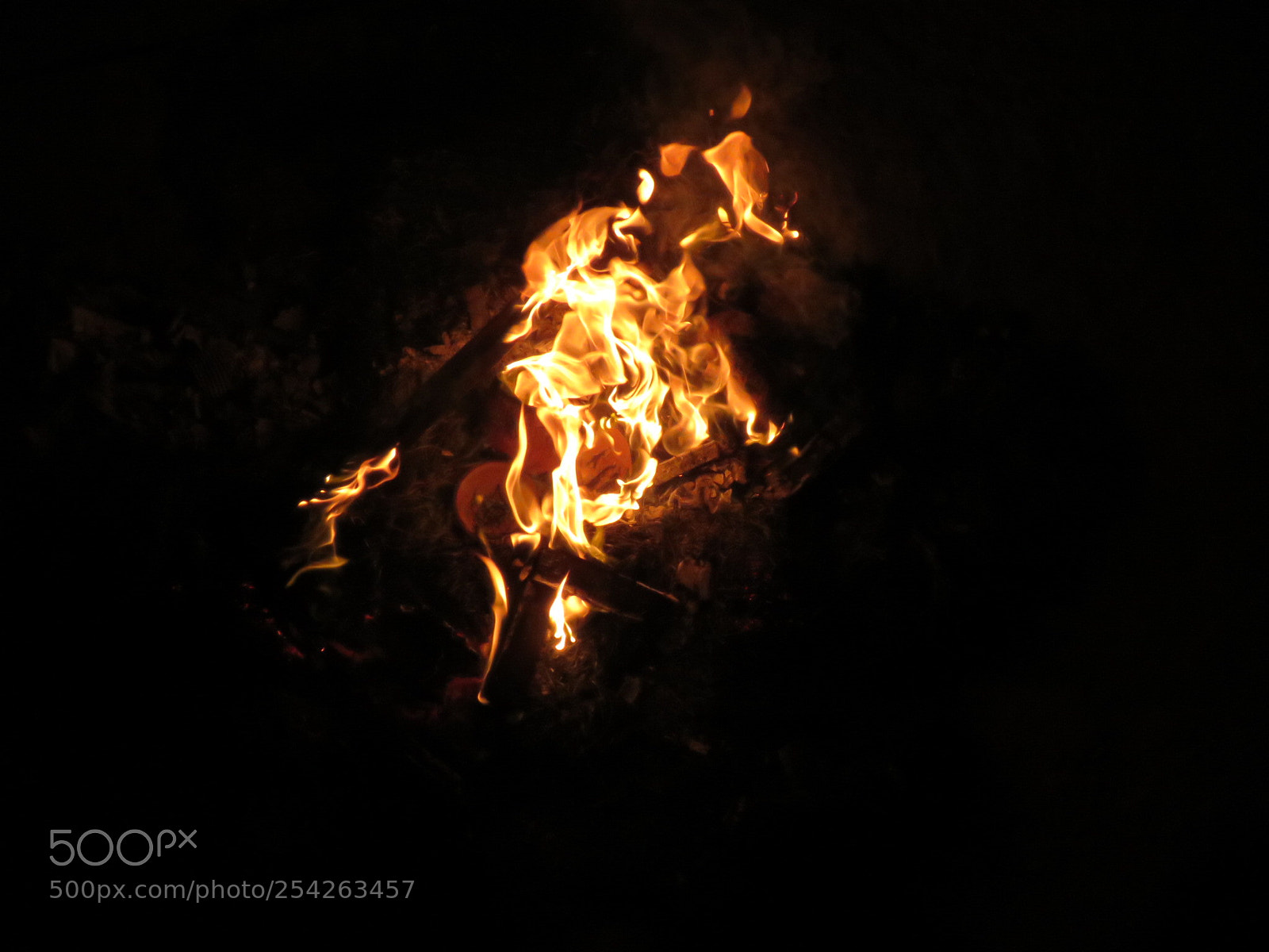 Canon PowerShot SX60 HS sample photo. Bhogi - a festival photography