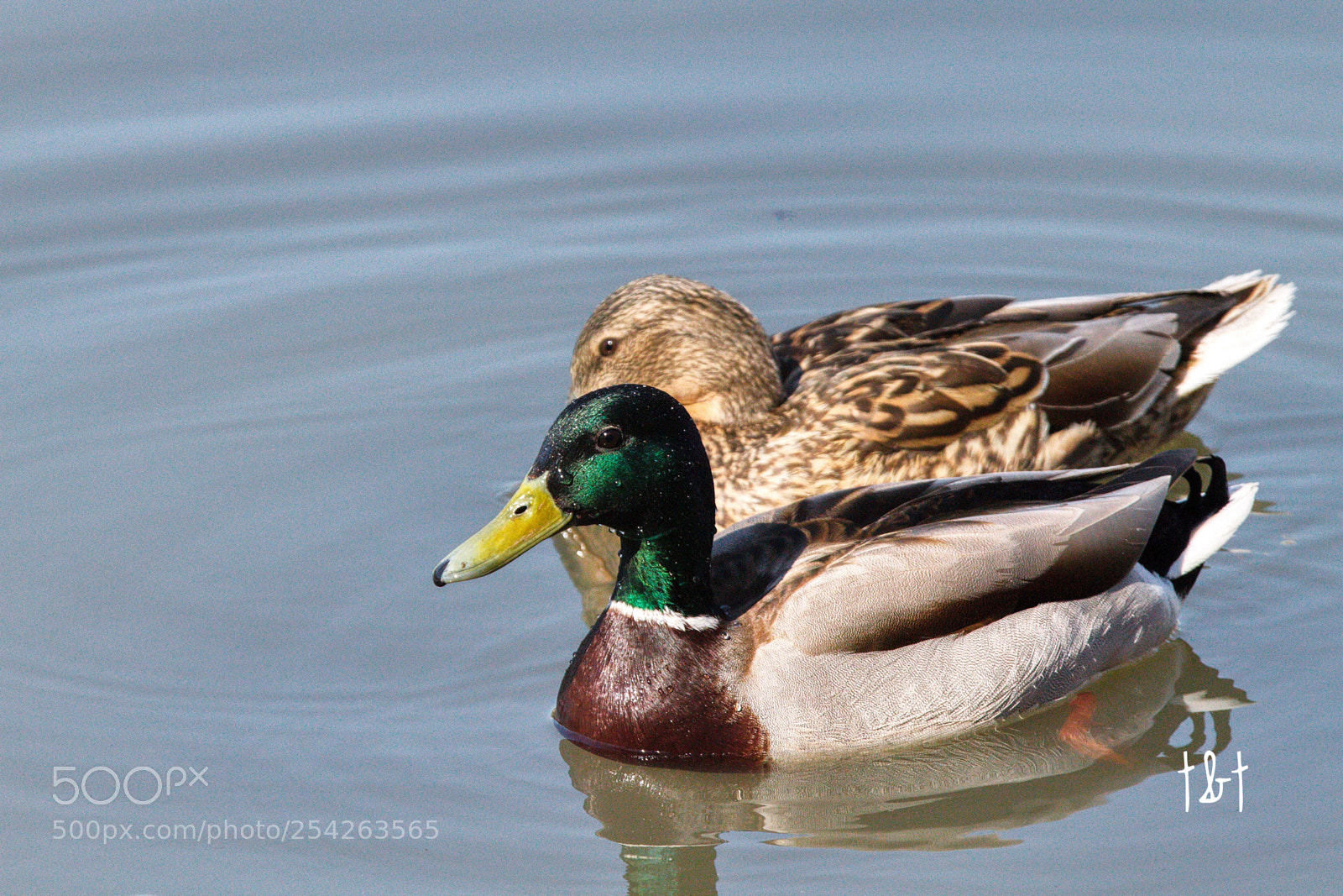Canon EOS 7D sample photo. Untitled photography