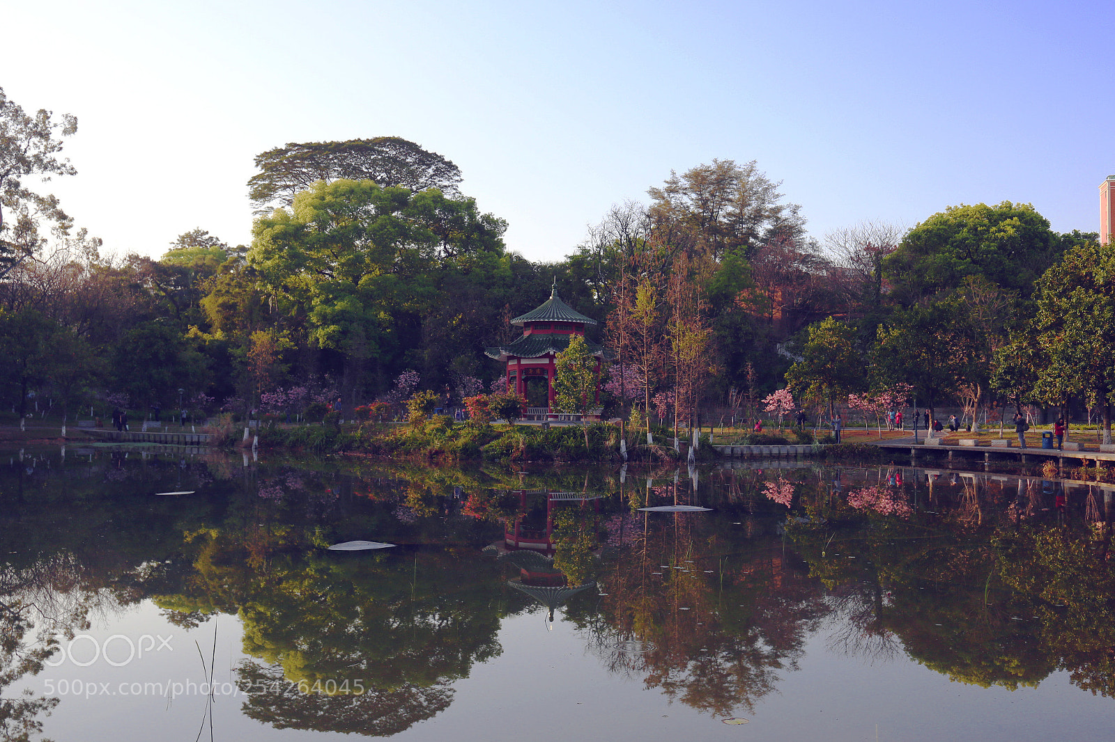 Canon EOS 6D sample photo. Wetland park of south photography