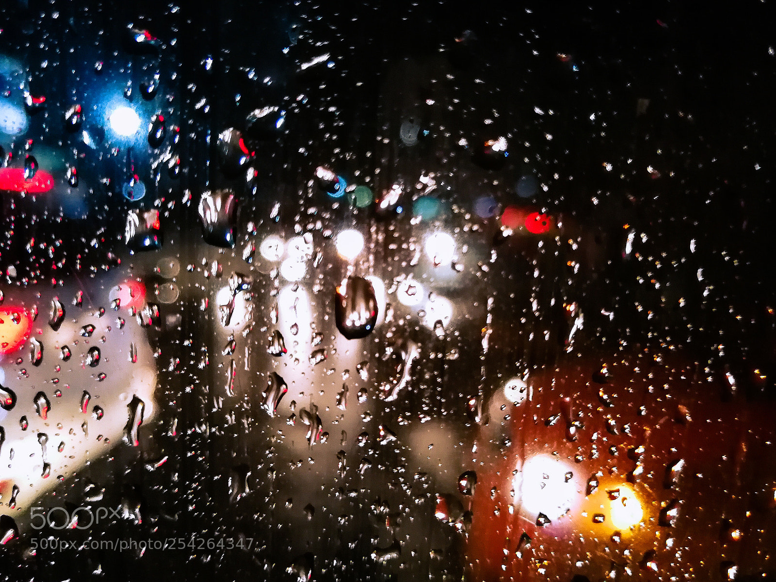 HUAWEI P10 Plus sample photo. Rain drops photography