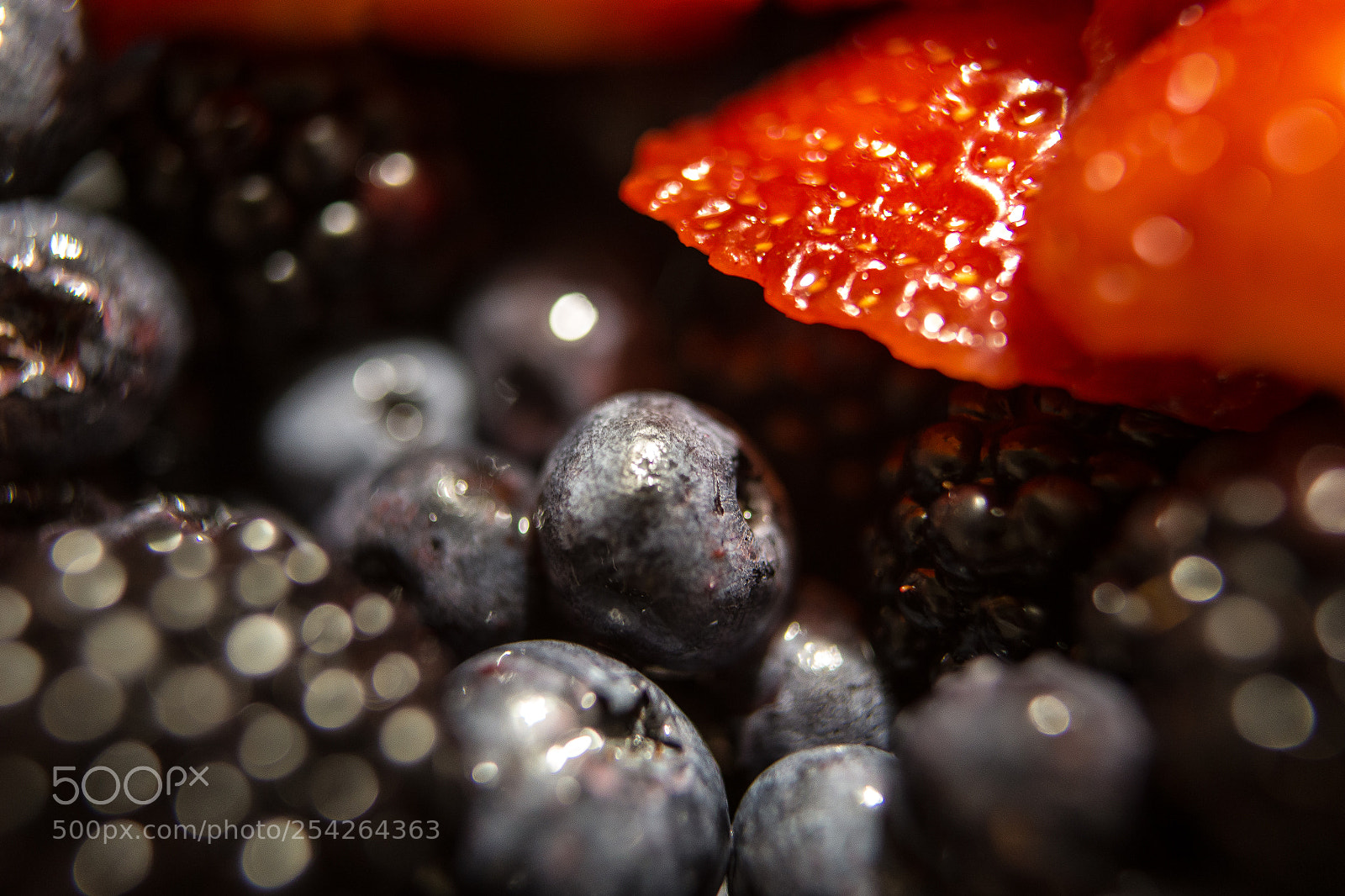 Canon EOS 6D sample photo. Berries photography