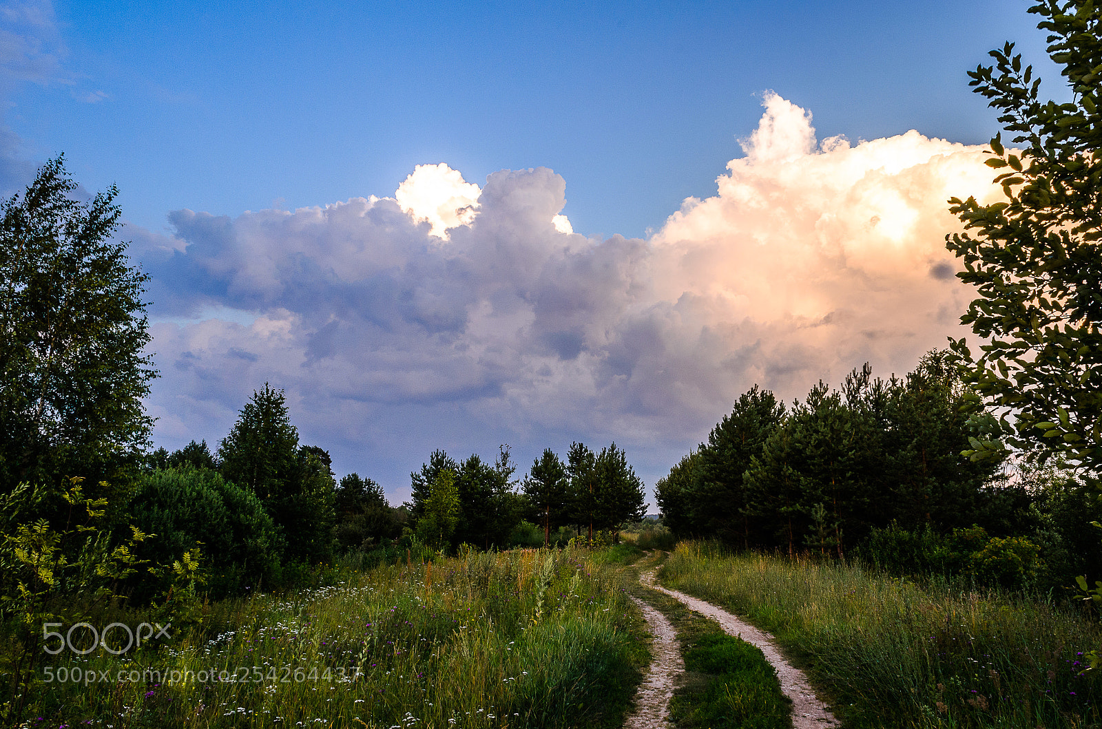 Nikon D5100 sample photo. Storm photography