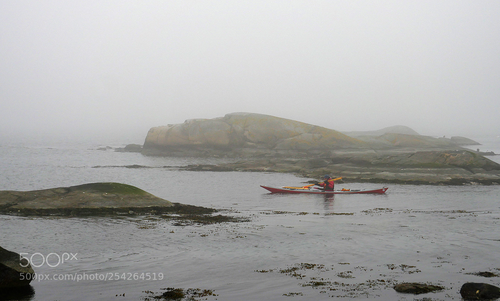 Panasonic Lumix DMC-GX8 sample photo. In the mist ii photography