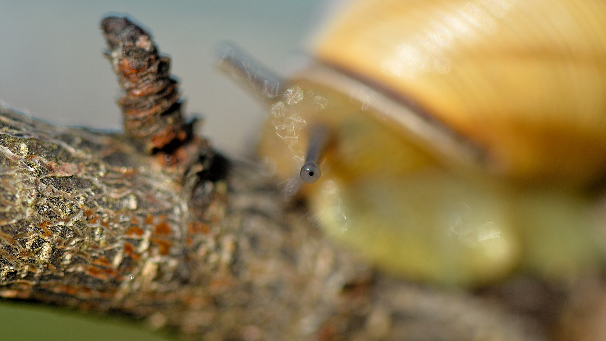 Nikon Df sample photo. I'm watching you photography