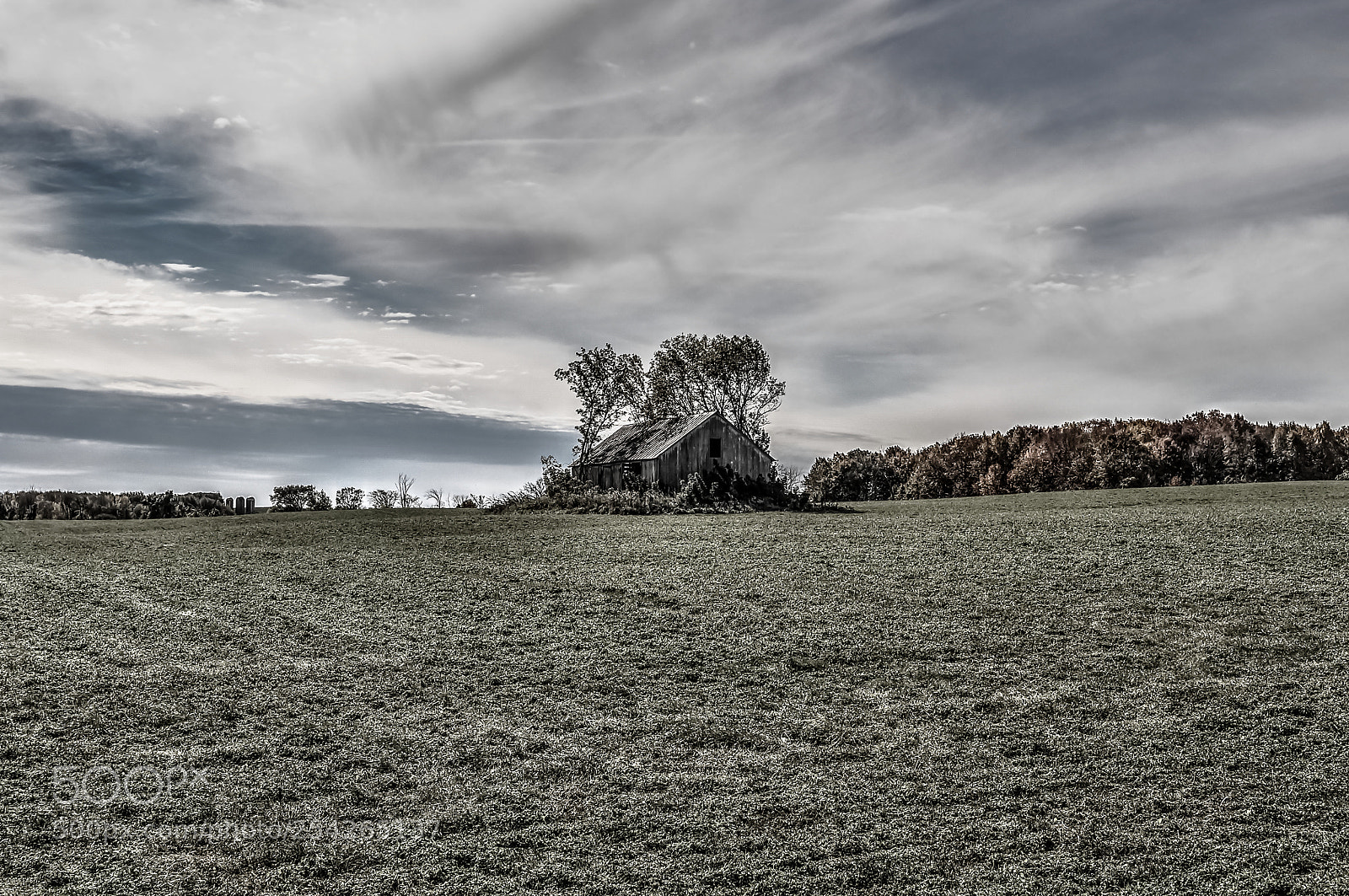 Nikon D5000 sample photo. Left in the field photography