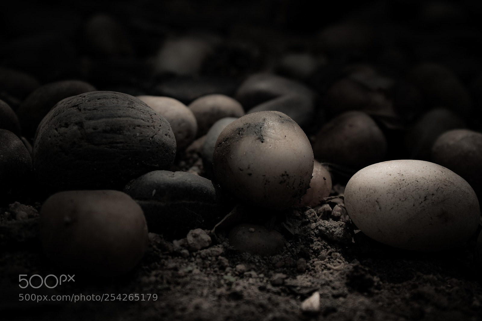 Canon EOS 700D (EOS Rebel T5i / EOS Kiss X7i) sample photo. Stones photography