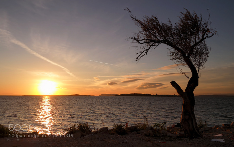 Samsung NX30 sample photo. ... photography
