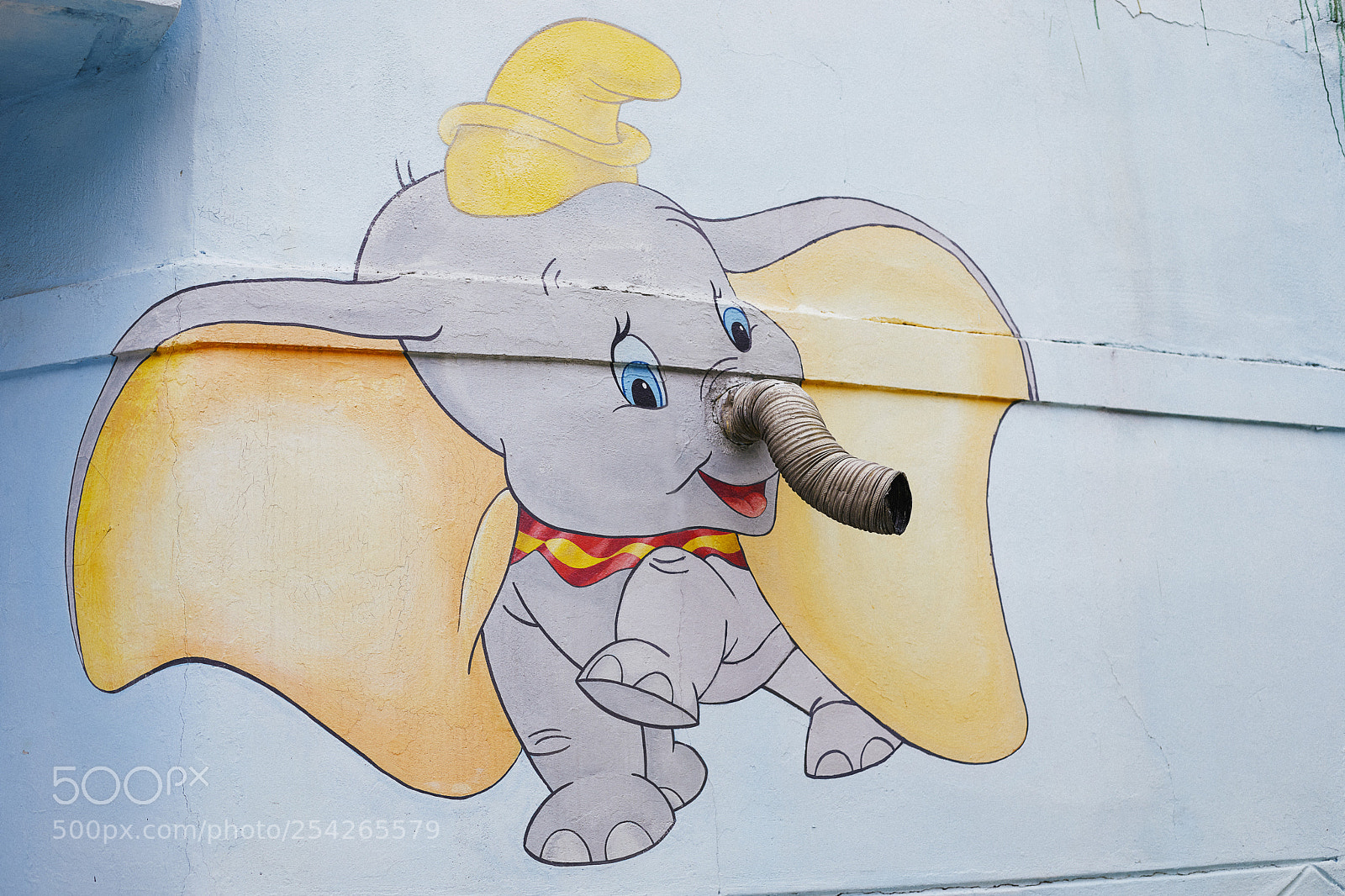 Canon EOS 5D Mark IV sample photo. Elephant photography