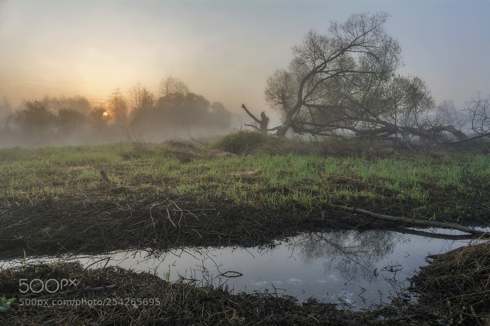 Nikon D5200 sample photo. Bolimowski landscape park photography