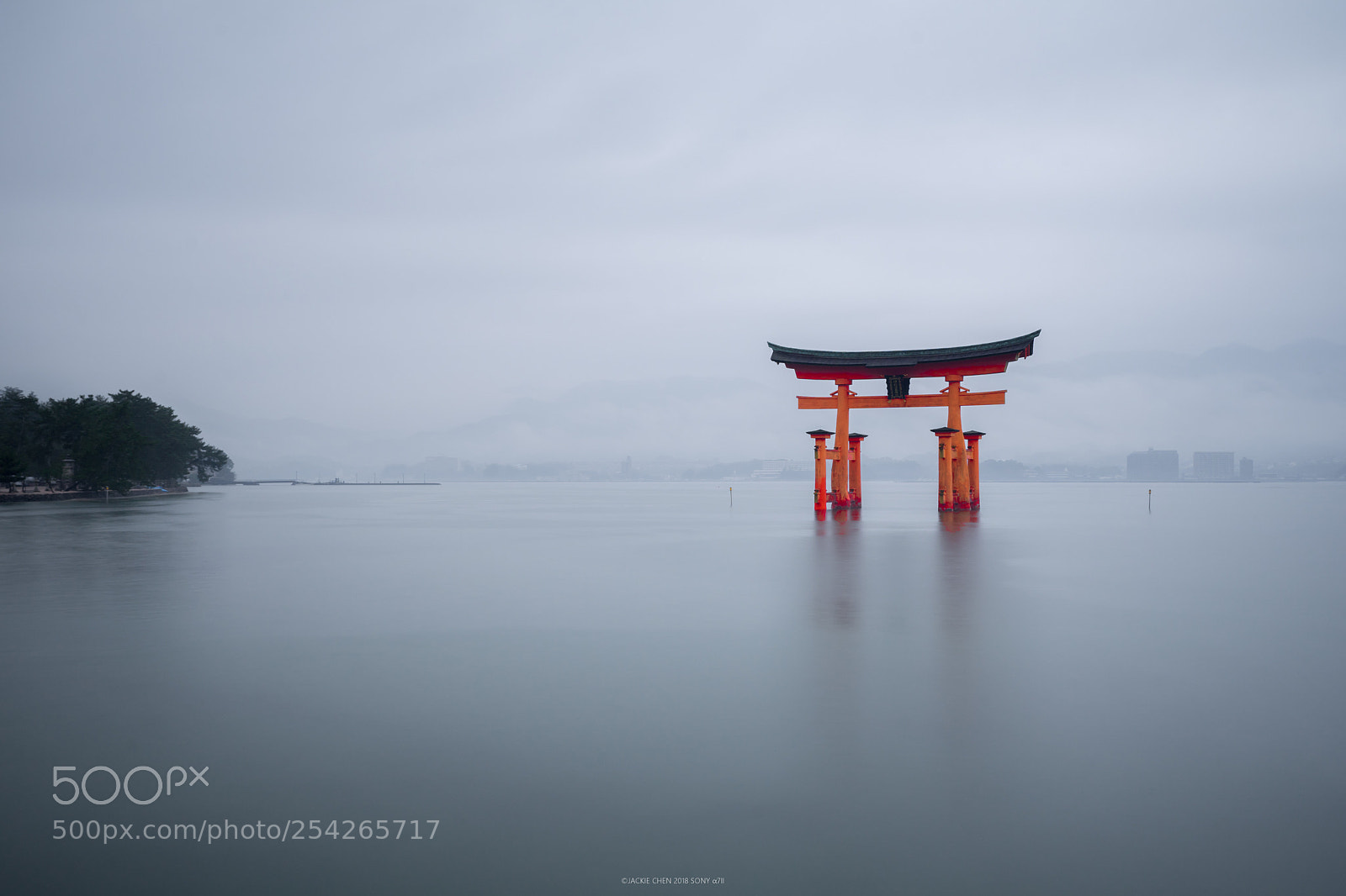 Sony a7 II sample photo. The great torii 大鳥居 photography