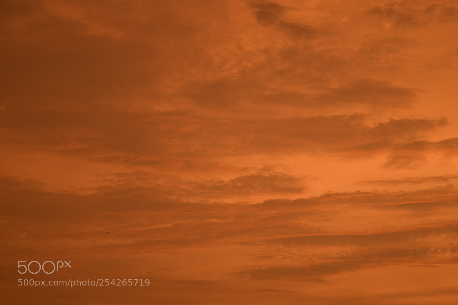 Nikon D5300 sample photo. Beautiful sky just after photography