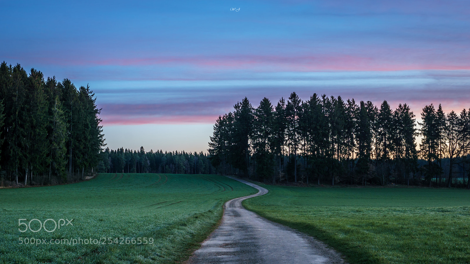 Sony ILCA-77M2 sample photo. The path into dawn photography