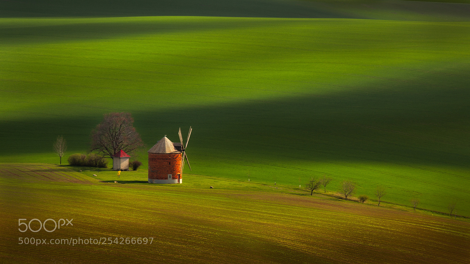 Canon EOS 5D Mark II sample photo. Moravian holland photography