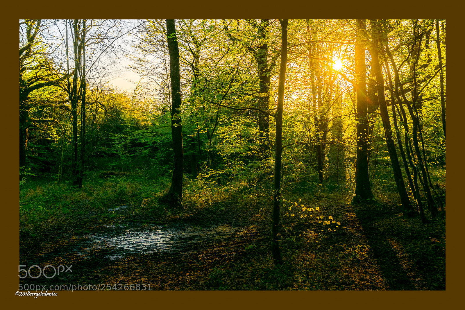 Nikon D5300 sample photo. Sunrise photography