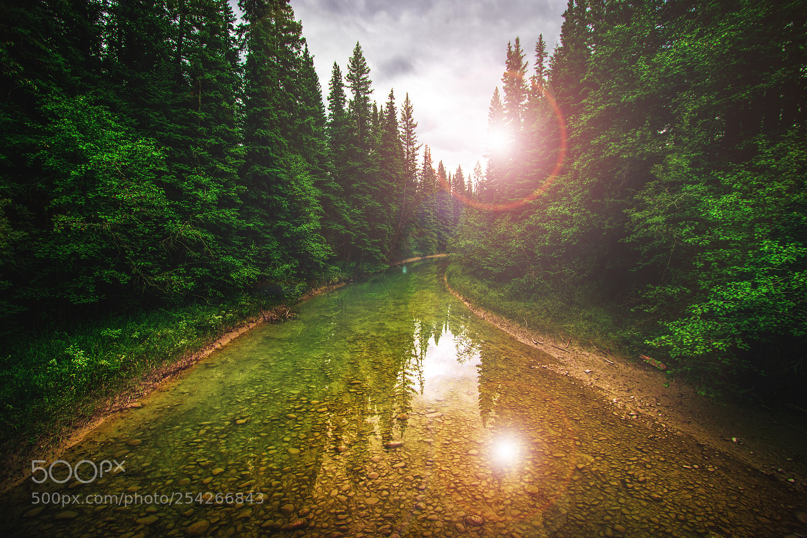 Canon EOS 7D Mark II sample photo. Creek photography