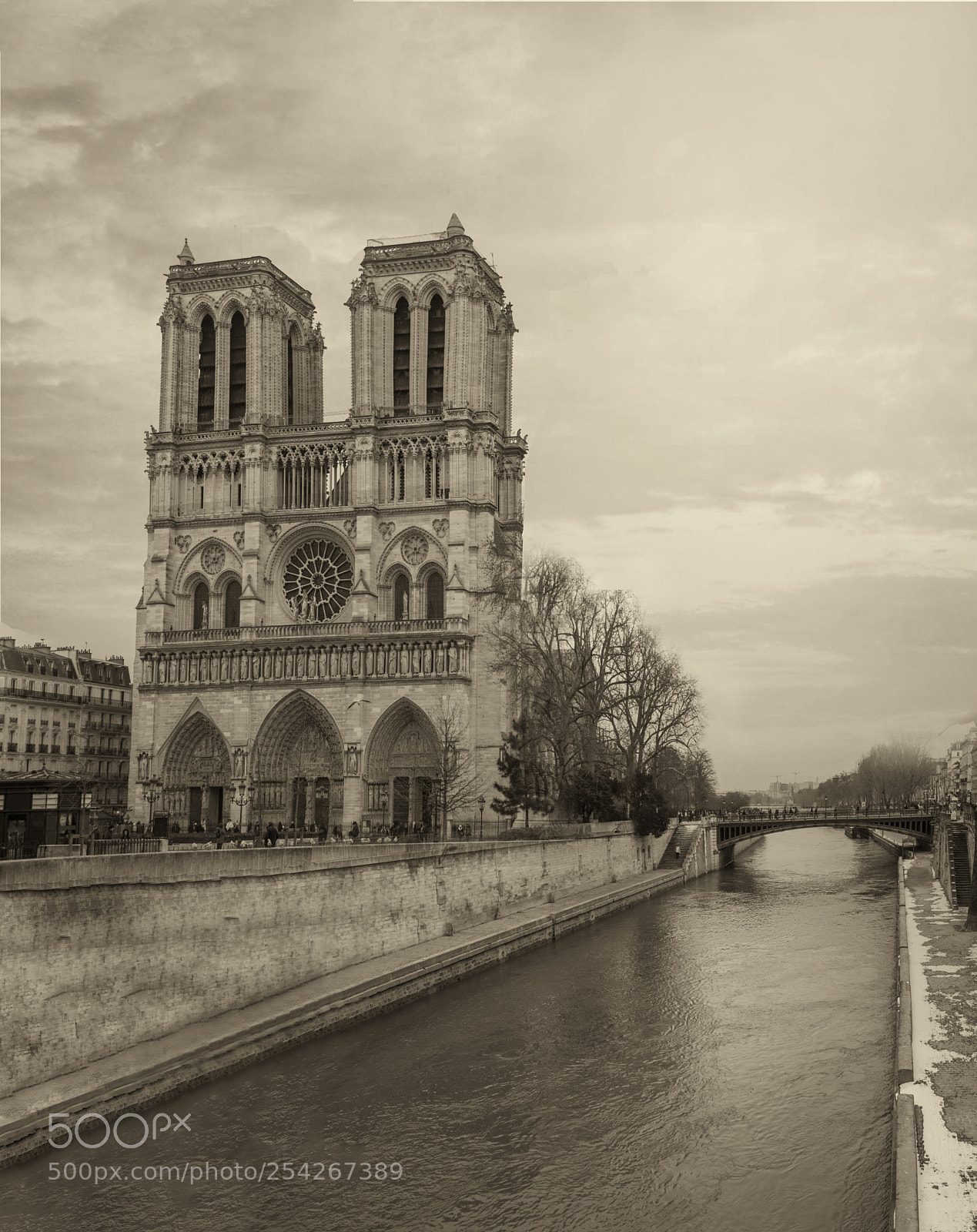Nikon D5300 sample photo. Notredame photography
